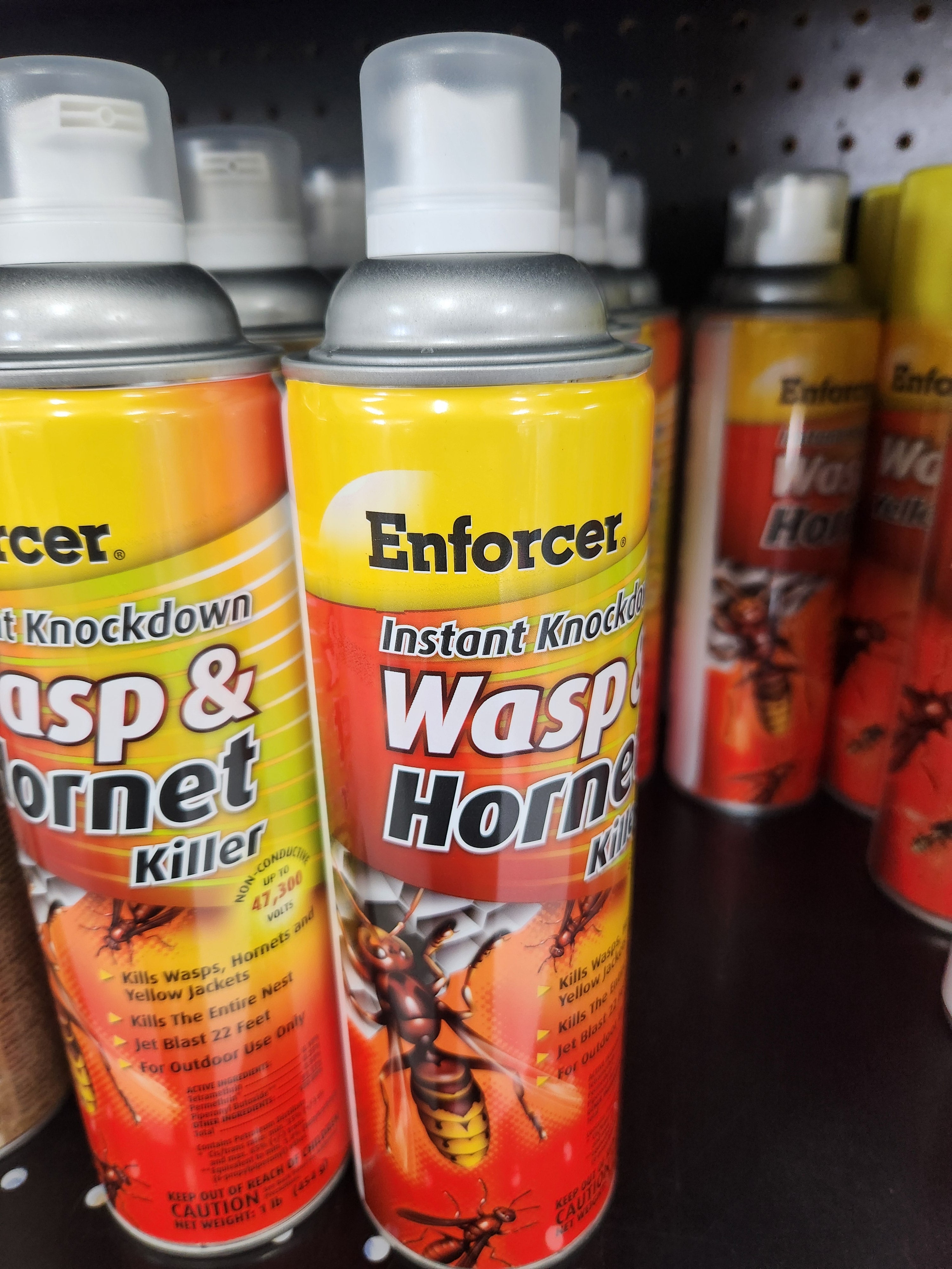 ENFORCER INSTANT KNOCKDOWN WASP AND HORNET KILLER SPRAY - 16 OZ.