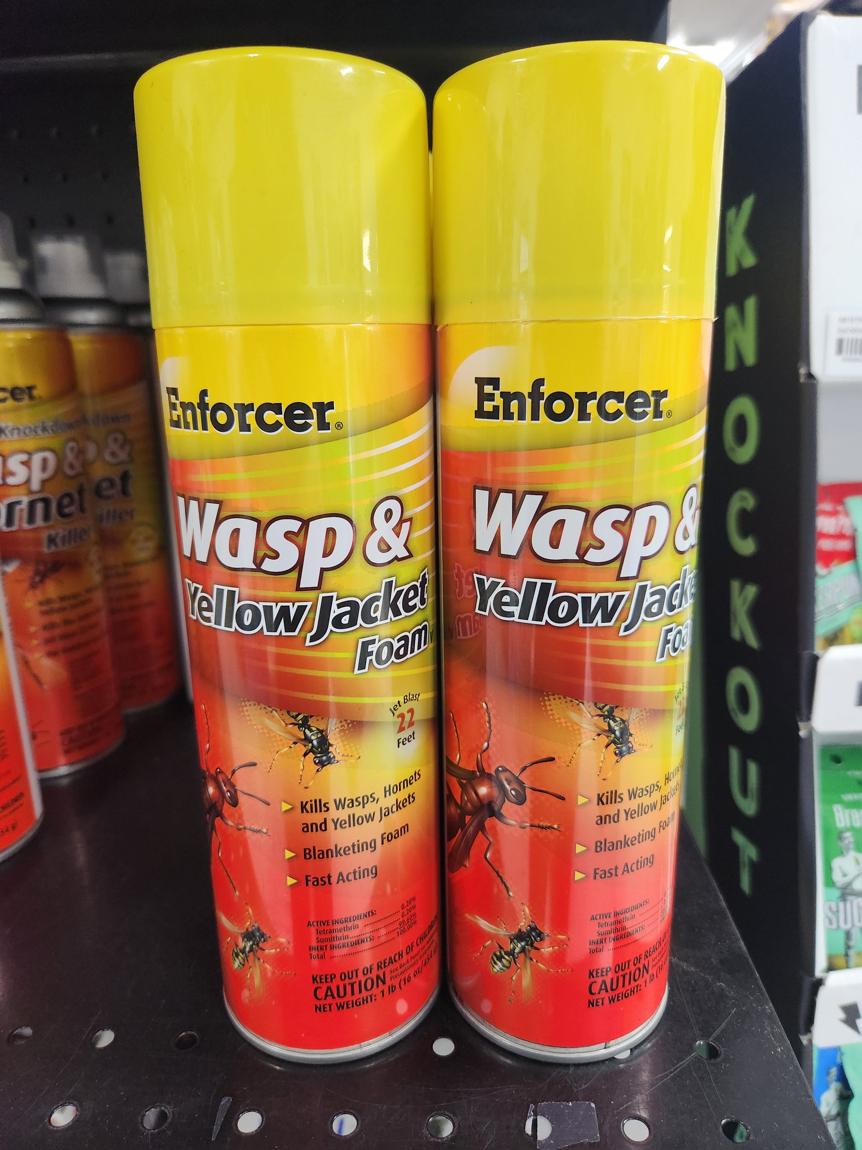 Enforcer Wasp and Yellow Jacket Foam 16 Oz.