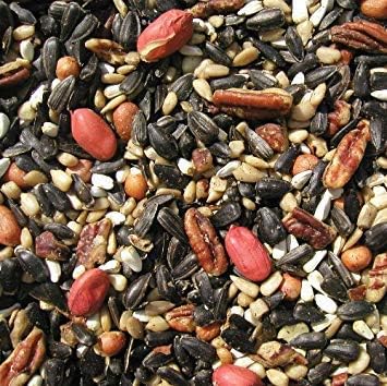 Cole's SF20 Special Feeder Bird Seed, 20-Pound