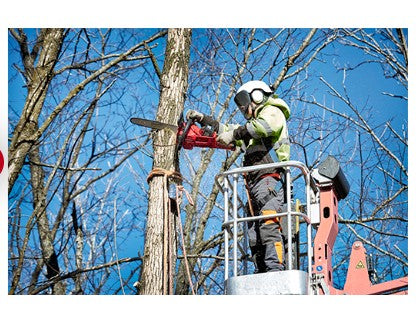 Milwaukee M18 FUEL™ 16" Chainsaw (Tool Only) 2727-20