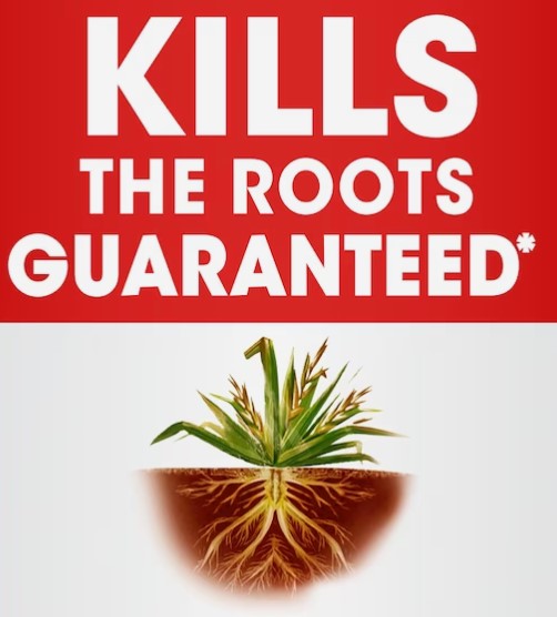 Roundup Plus 64-oz Concentrated Weed and Grass Killer