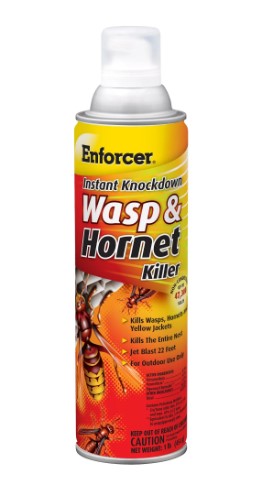ENFORCER INSTANT KNOCKDOWN WASP AND HORNET KILLER SPRAY - 16 OZ.