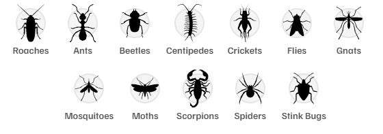 Bengal Yard & Patio Mosquito Fogger