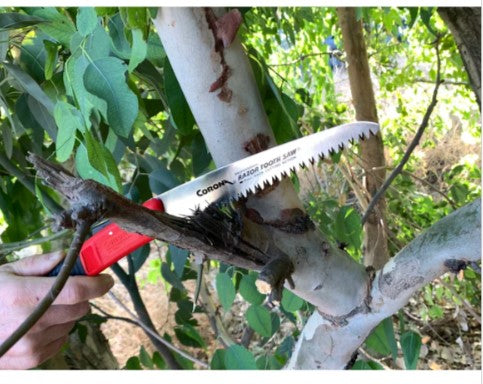 Corona RAZORTOOTH SAW® ARBORIST FOLDING PRUNING SAW, 7 IN. BLADE - RS7041