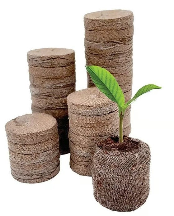 Jiffy Self-Watering Seed Starting Kit - T34HG