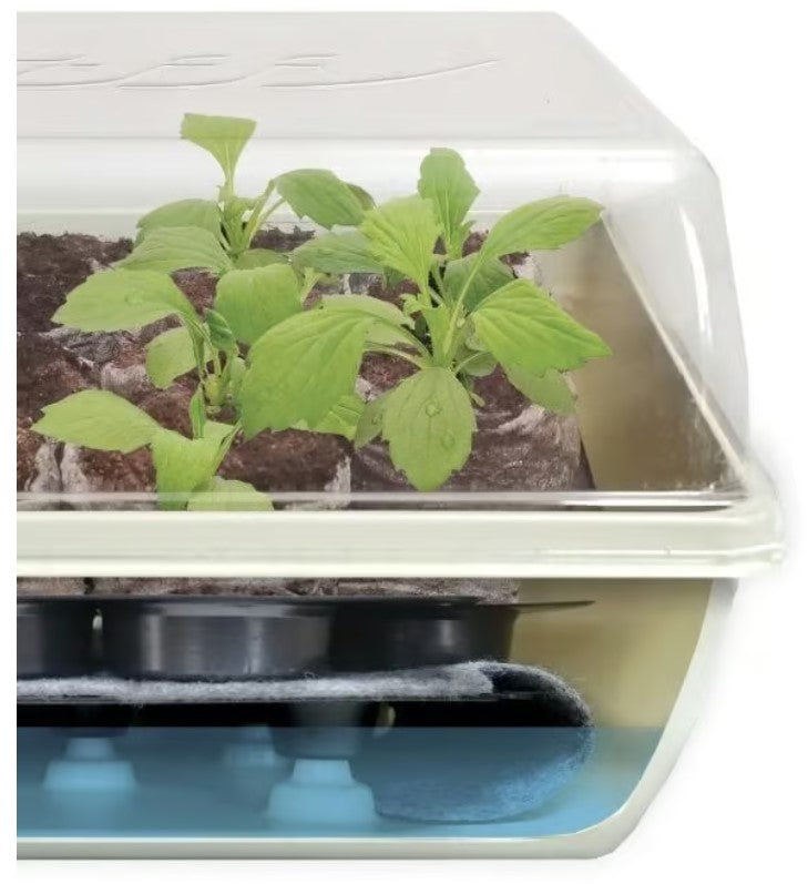 Jiffy Self-Watering Seed Starting Kit - T34HG