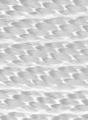 T-H Marine Supplies - Solid Braid MFP Dock Line - White