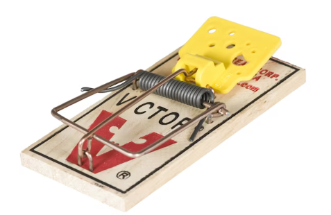 Victor Small Snap Trap For Mice 2 pk - M035
