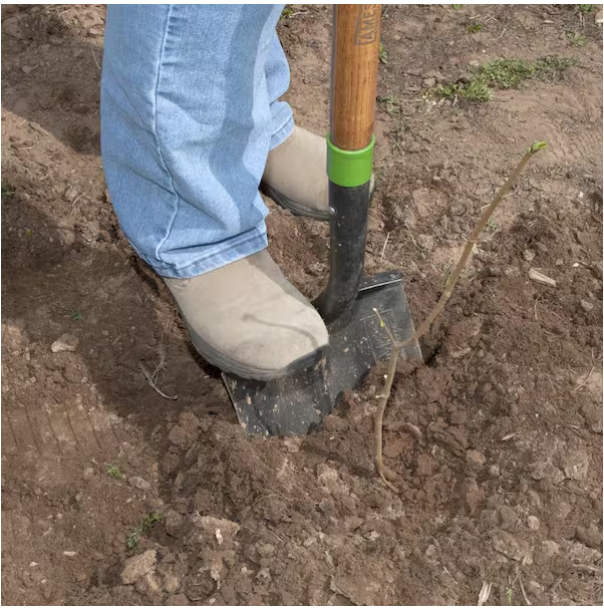 Ames Digging Shovel - 2535600