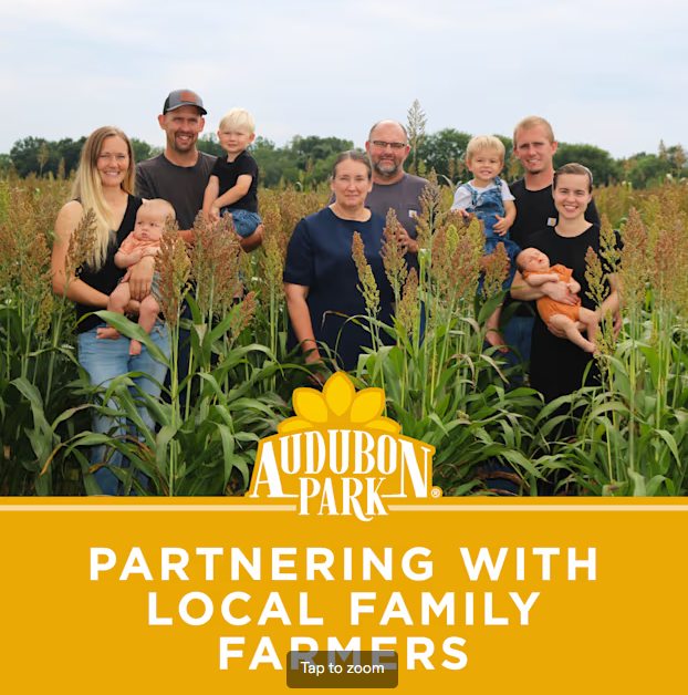 Audubon Park Black Oil Sunflower Seed -- 40lbs