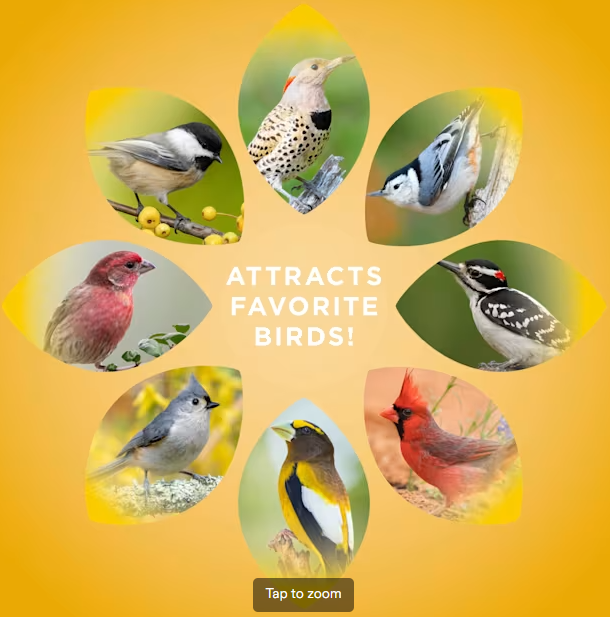 Audubon Park Black Oil Sunflower Seed -- 40lbs