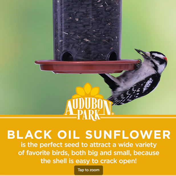Audubon Park Black Oil Sunflower Seed -- 40lbs