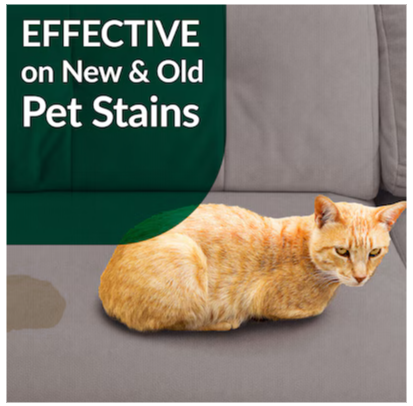 Simple Green CAT (Pet Stain & Odor Remover)