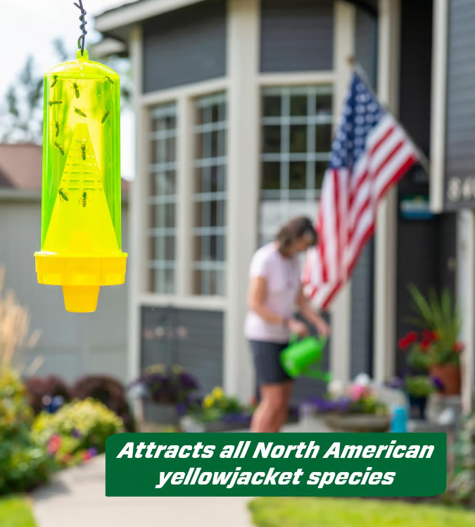 RESCUE! Yellow Jacket Trap