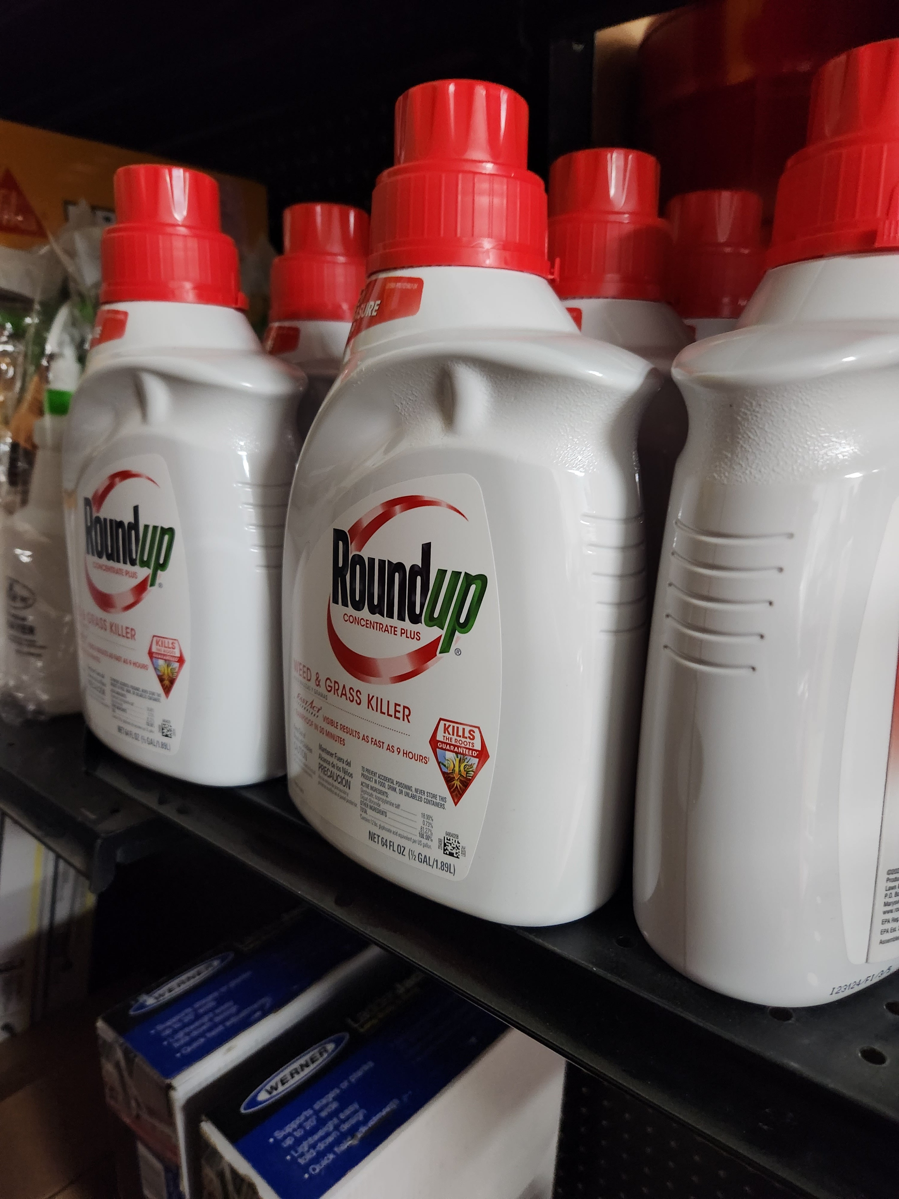 Roundup Plus 64-oz Concentrated Weed and Grass Killer