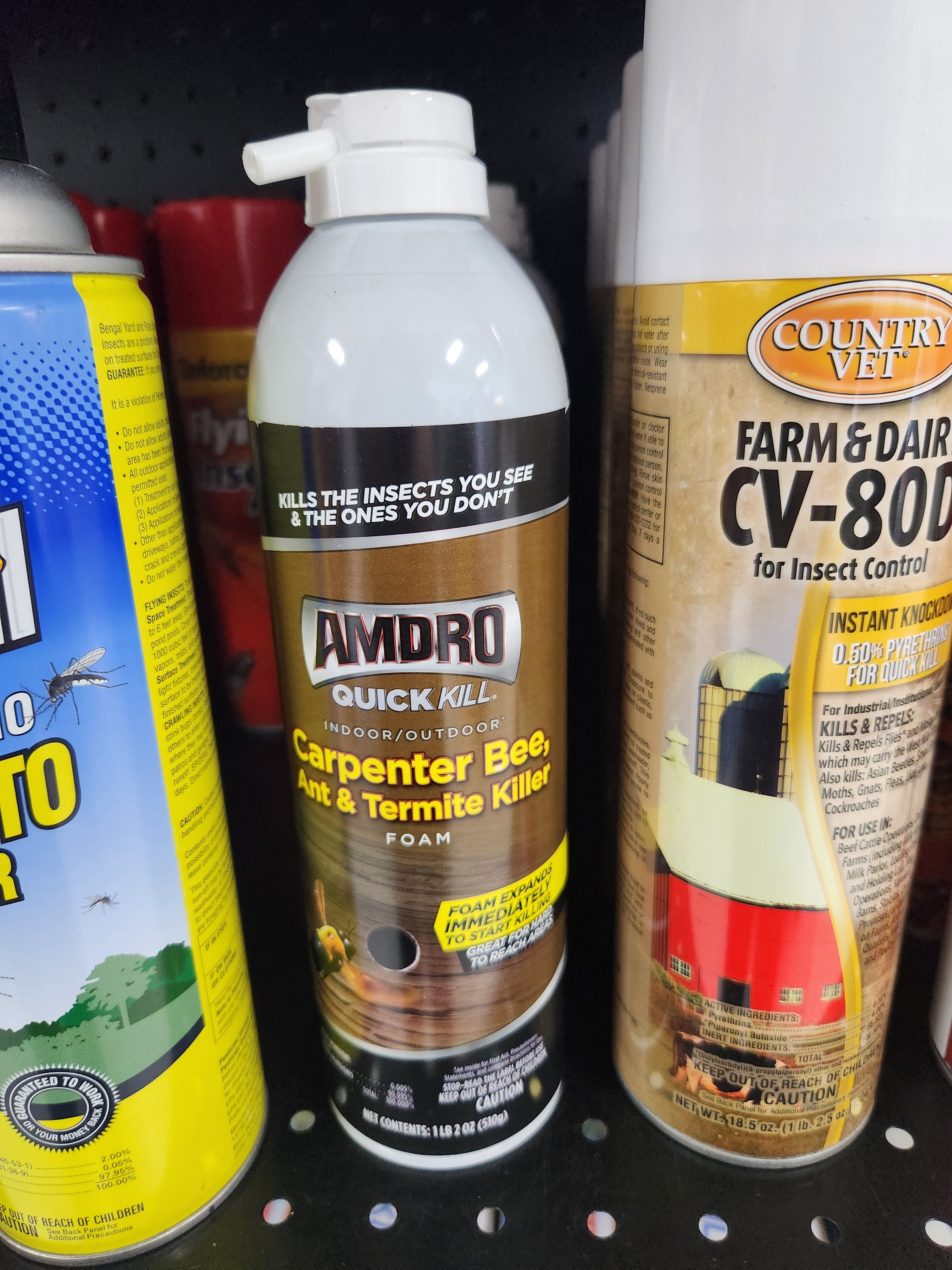 AMDRO 18-oz Quick kill Carpenter Bee, Ant and Termite Killer Foam
