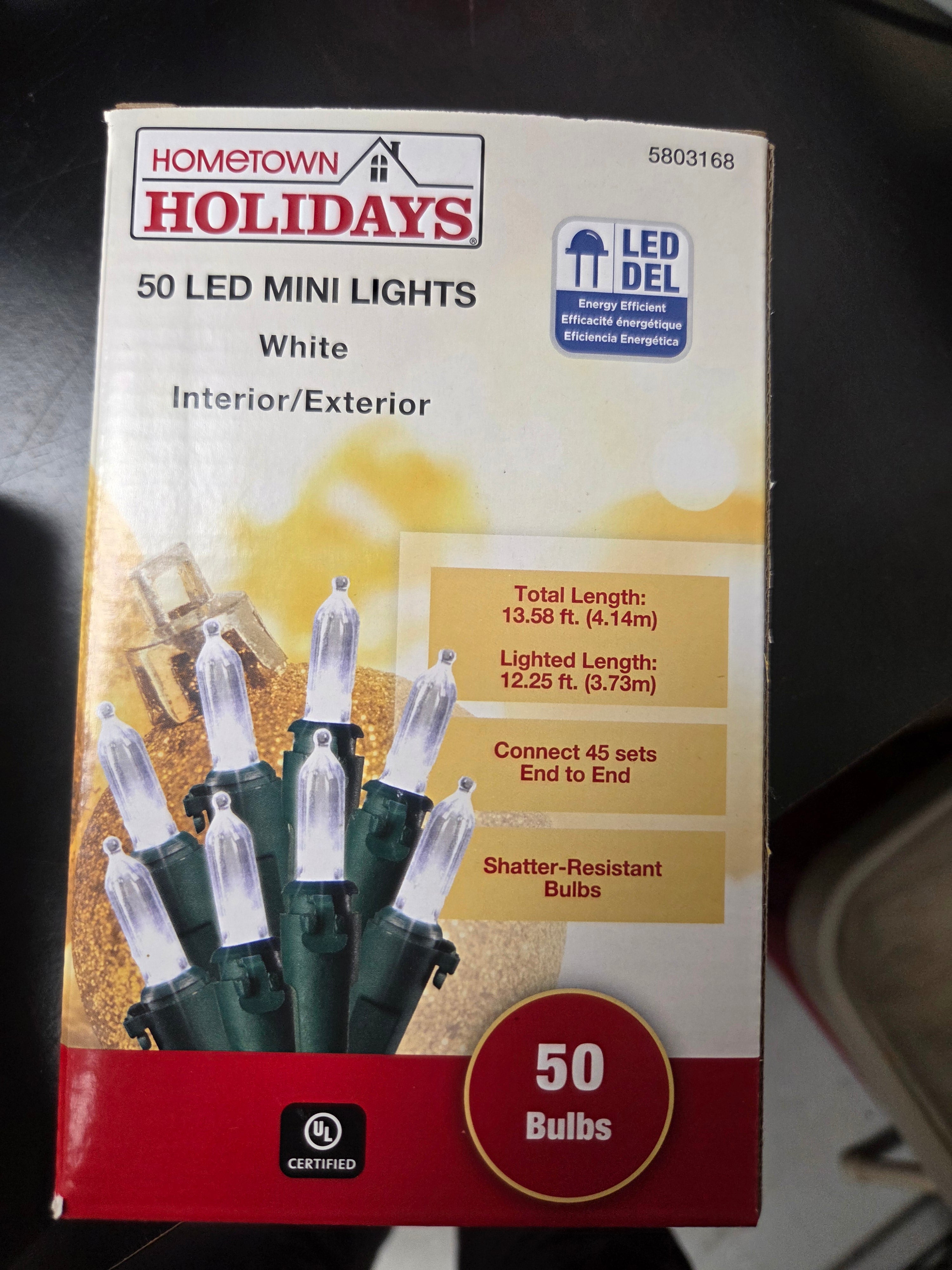 Hometown Holidays 50 LED Mini Lights (Interior/Exterior)