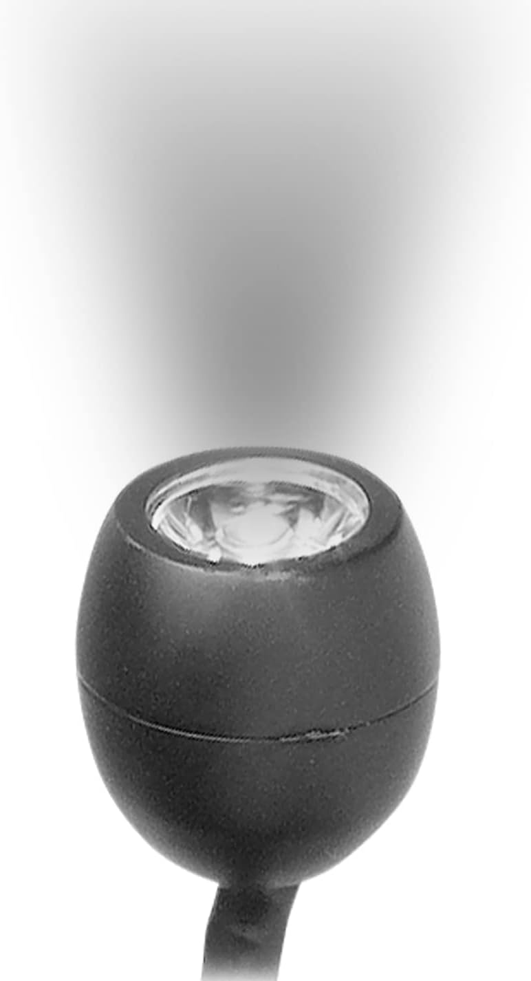 Little Giant Pondworks White LED EggLite -- 2pk -- 3558129