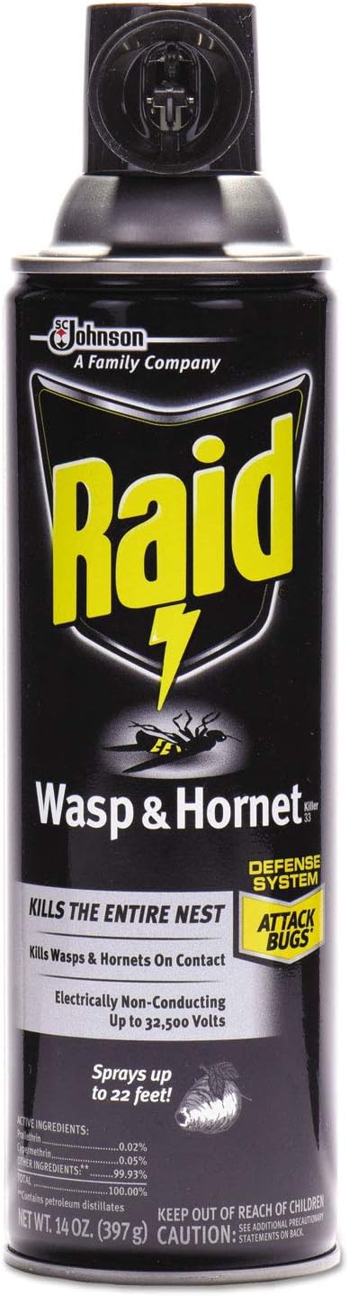 Raid® Wasp and Hornet Killer, 14 oz Aerosol Spray