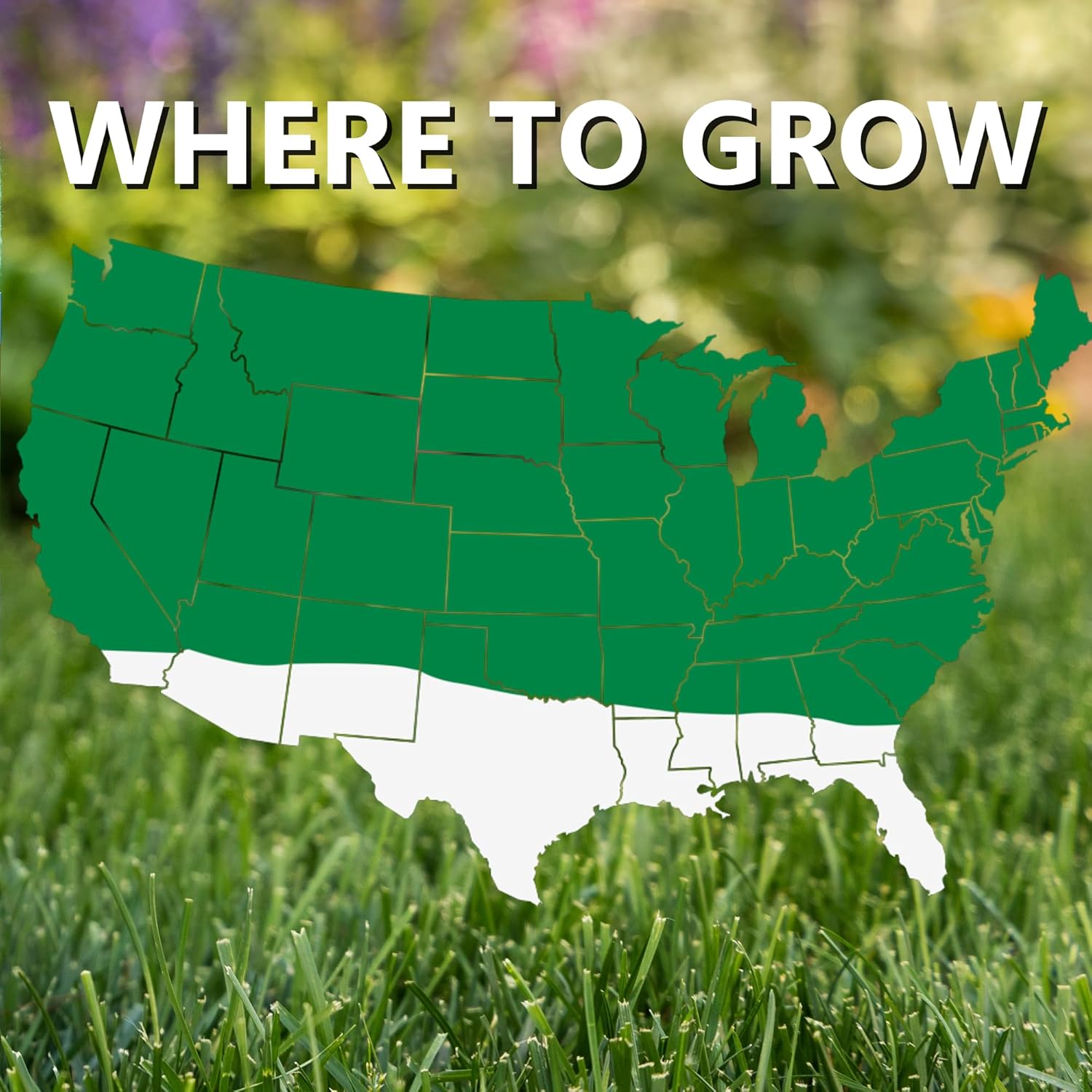 Jonathan Green (11460) Contractor's Grass Seed - Cool Season Lawn Seed (50 lb)