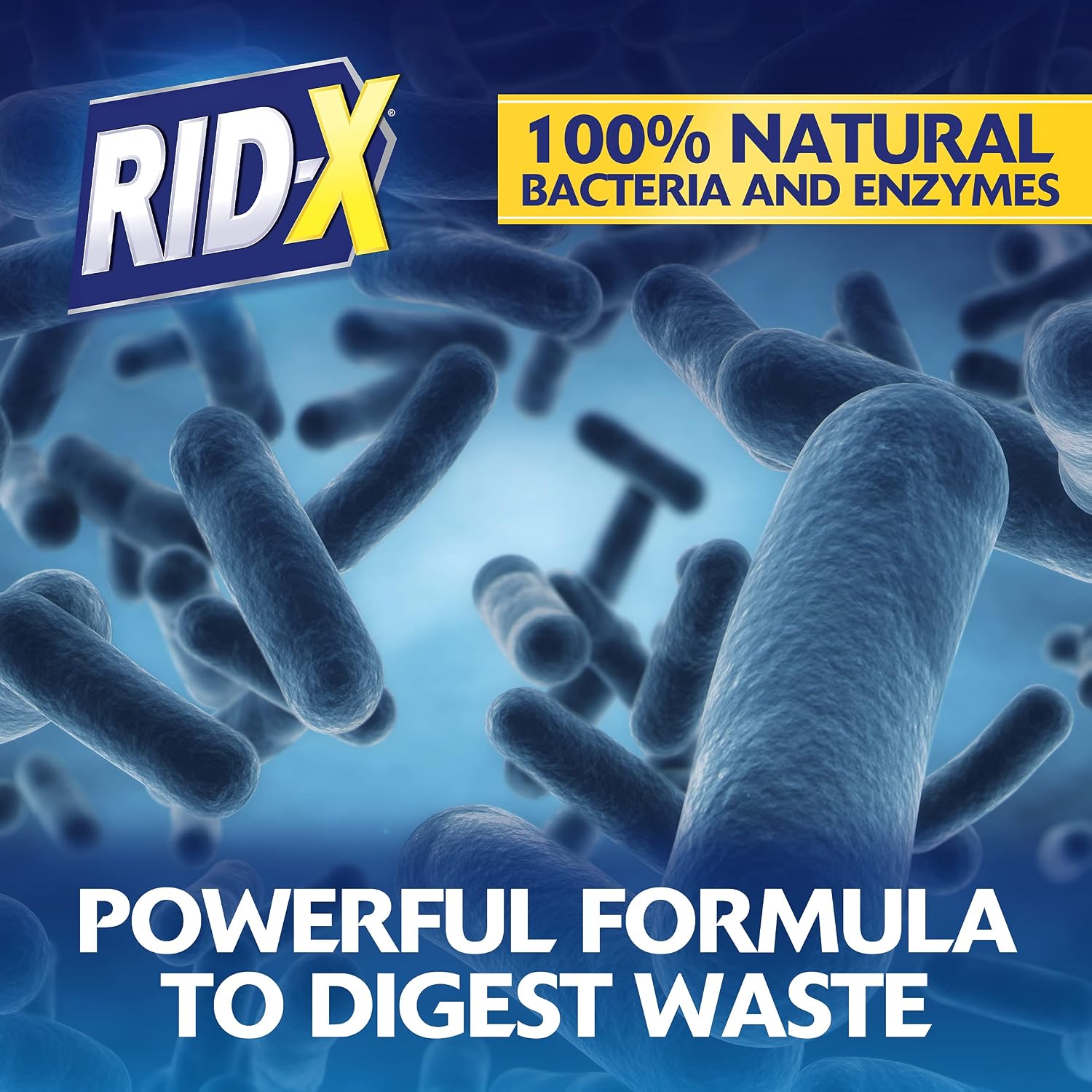 RID-X Professional Septic Treatment, 24 fl oz