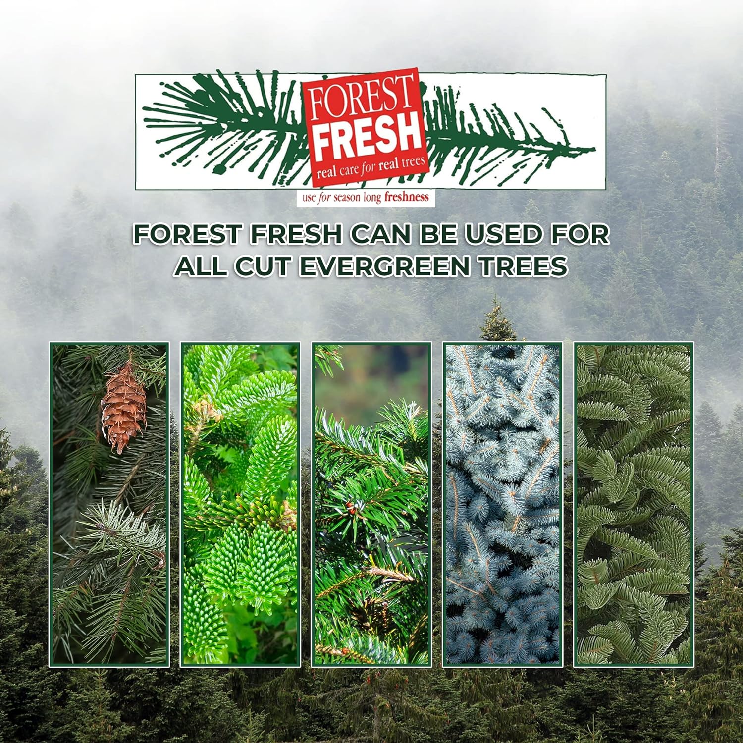 Forest Fresh Christmas Tree Preservative Tablets – Tree Water Additive for Live Fresh-Cut Trees – Keeps Trees Hydrated and Reduces Needle Drop – Non-Toxic, Made in USA – 1 Packet (8 Tablets) -- PRFF