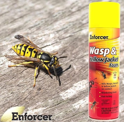 Enforcer Wasp and Yellow Jacket Foam 16 Oz.