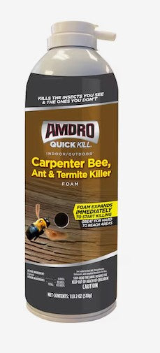 AMDRO 18-oz Quick kill Carpenter Bee, Ant and Termite Killer Foam