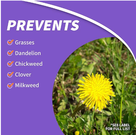 Bonide KleenUP Weed & Grass Killer Ready-To-Use, 128 oz