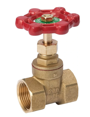 ProLine Threaded Gate Valve, Lead-free Brass, 1/2 In.